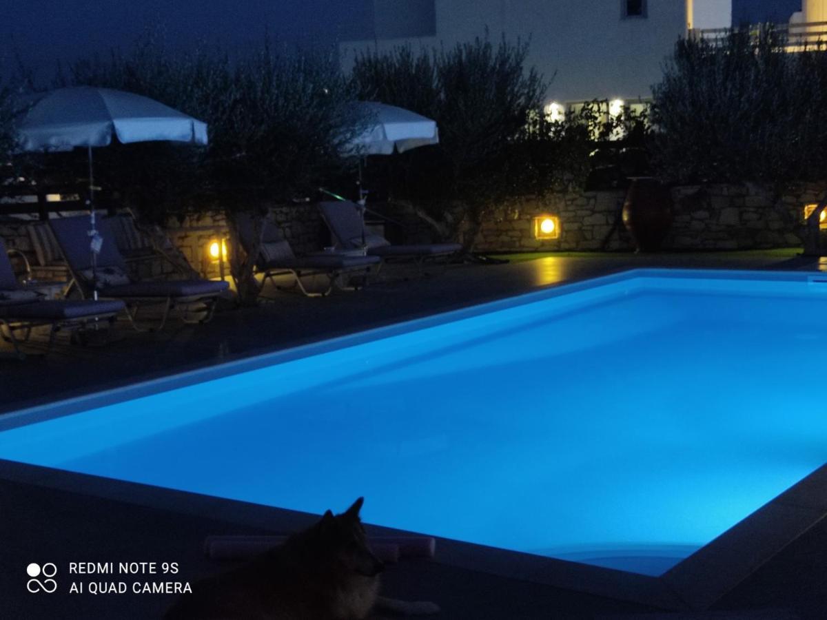 Sunset Studios And Apartments For Adults Over 21 Only Zambujeira do Mar Dış mekan fotoğraf