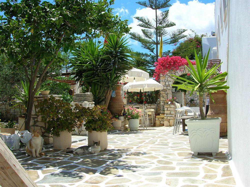 Sunset Studios And Apartments For Adults Over 21 Only Zambujeira do Mar Dış mekan fotoğraf